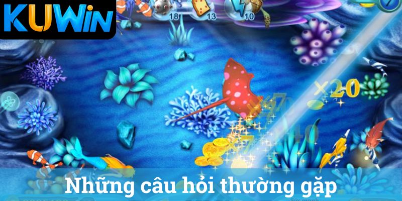Những câu hỏi thường gặp