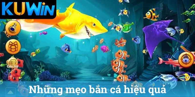 Nhung meo ban ca hieu qua Những mẹo bắn cá hiệu quả